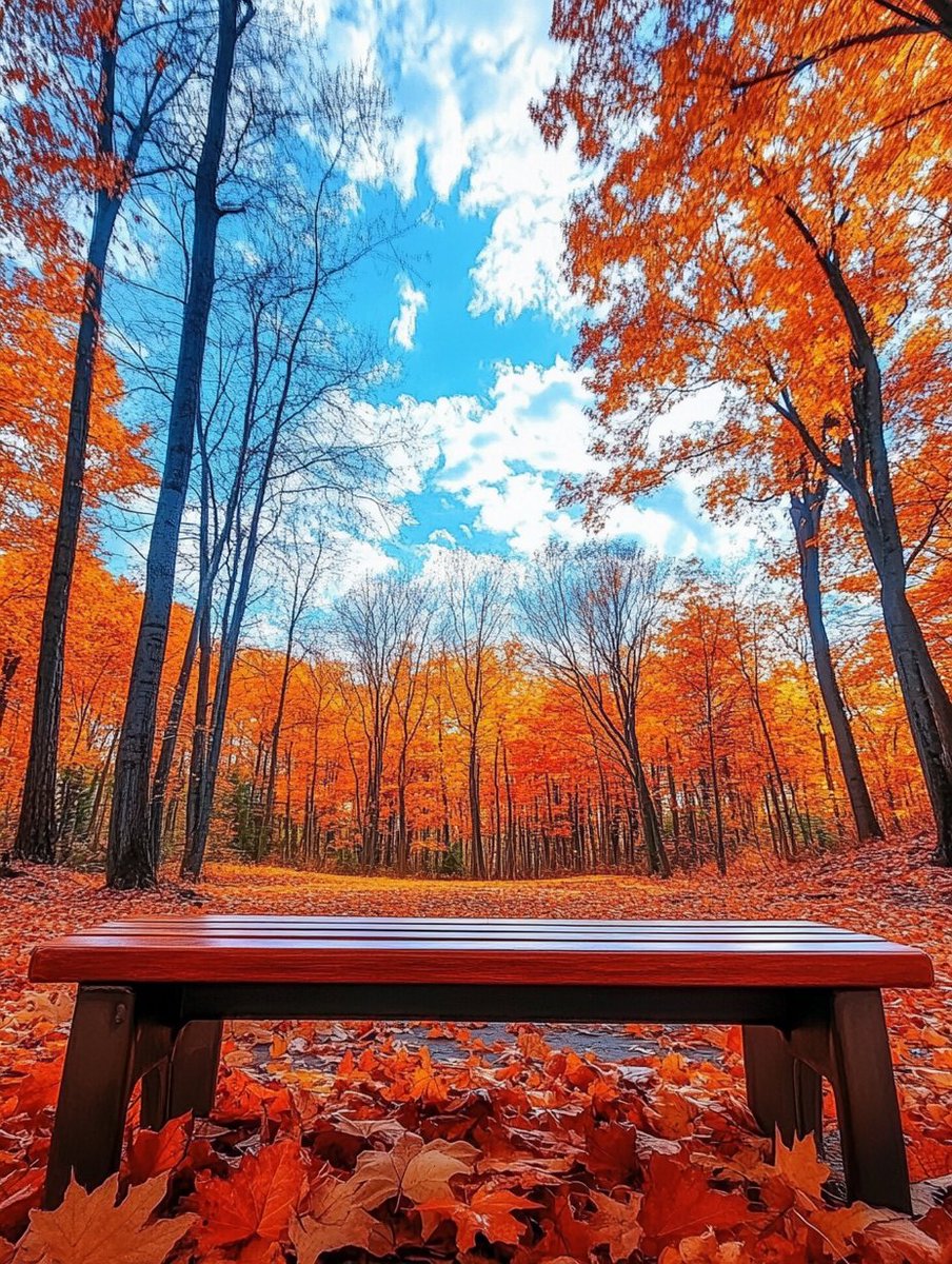 Małgorzata Borońska tweet media