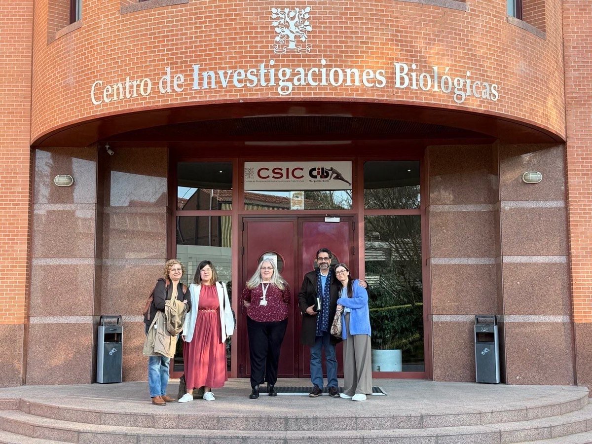 Ernesto Reaño tweet media