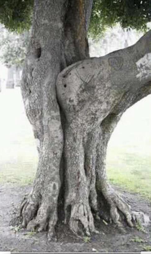 jilltowers tweet media