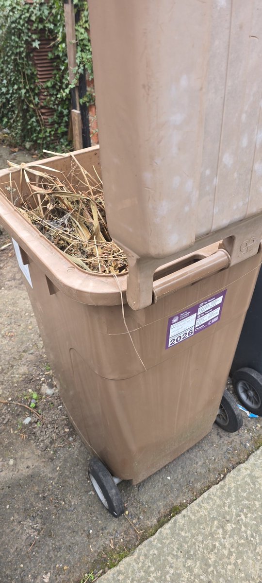 Peter Hamil tweet media