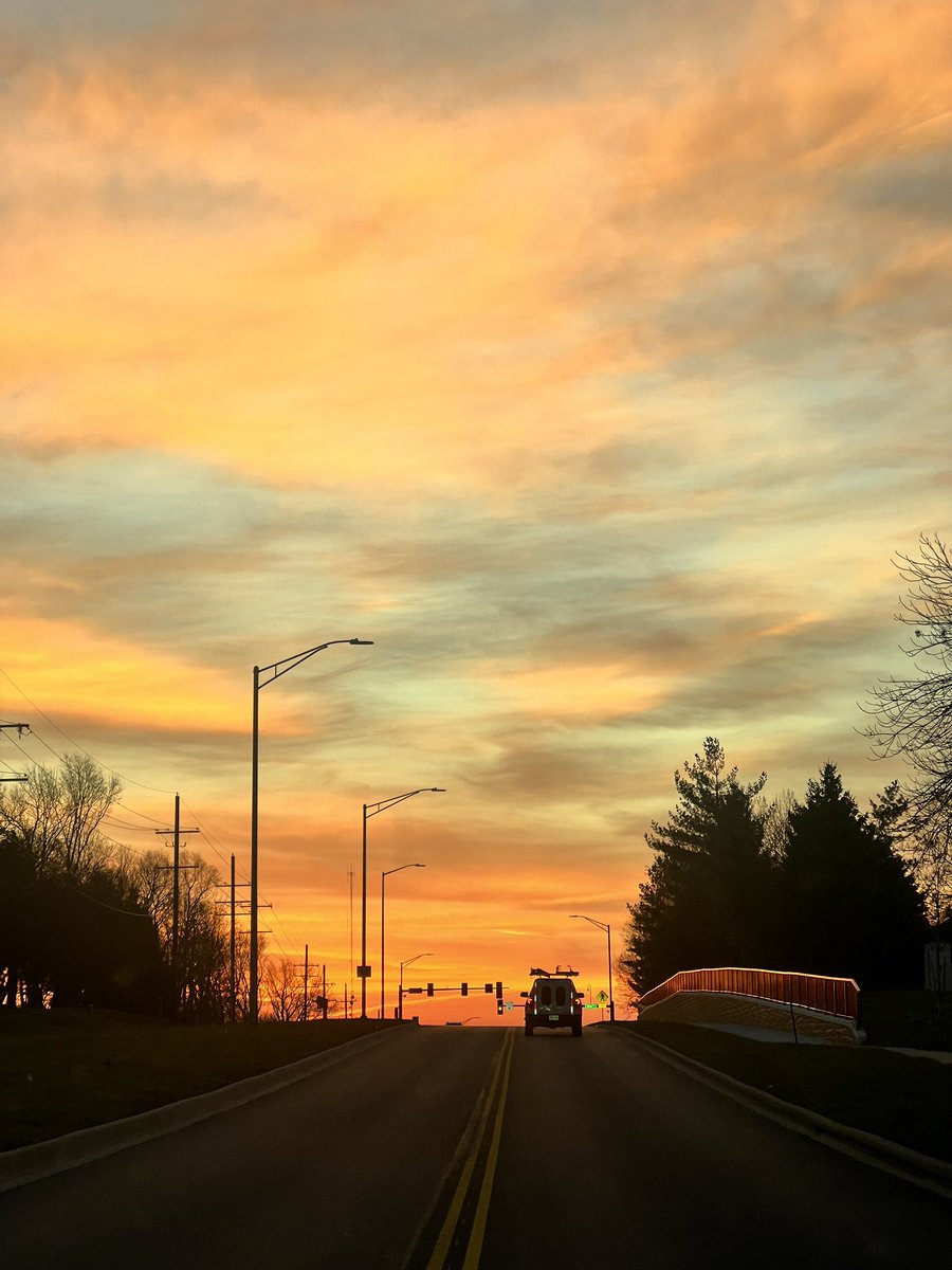 Morgan Loewenherz tweet media