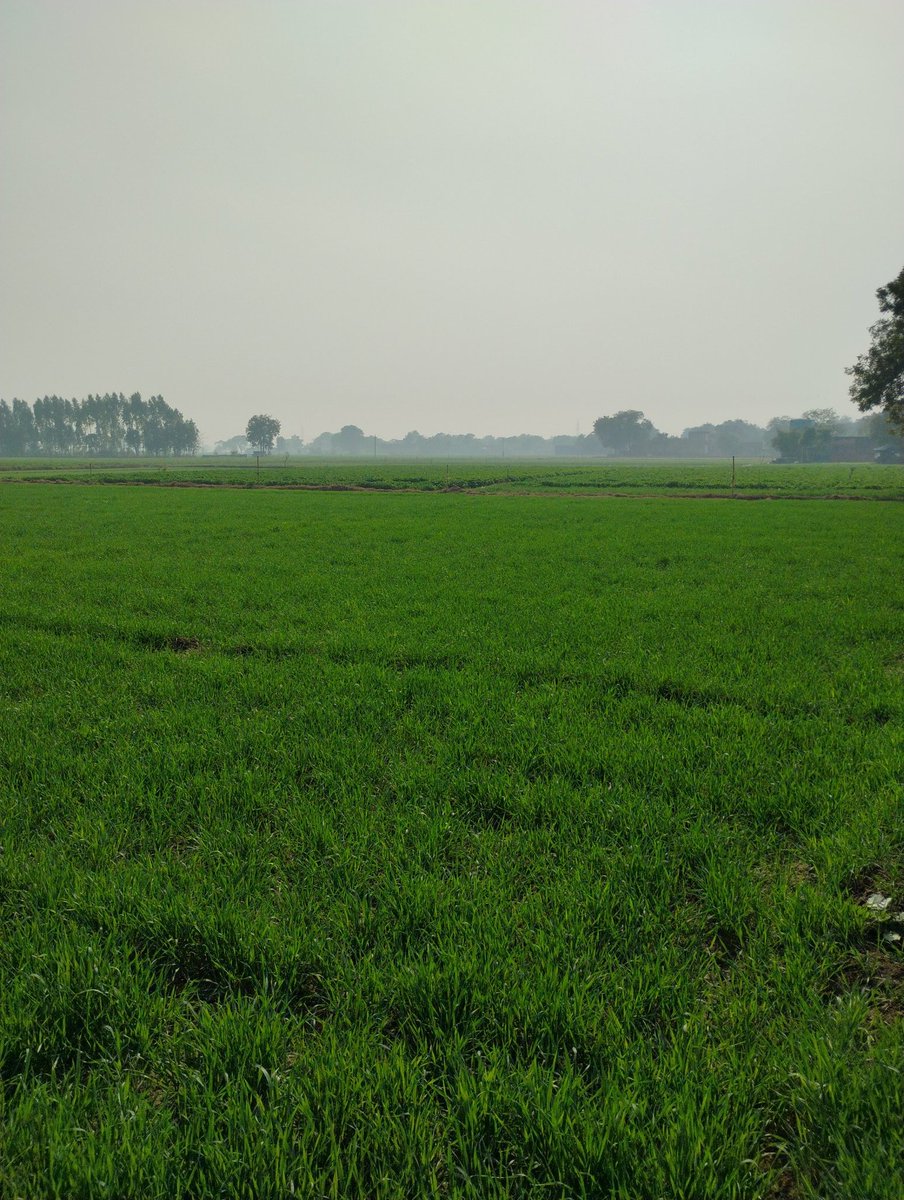 parthak ✧ tweet media