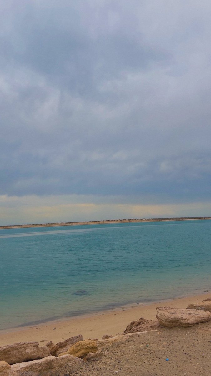 نوره 🤍 tweet media