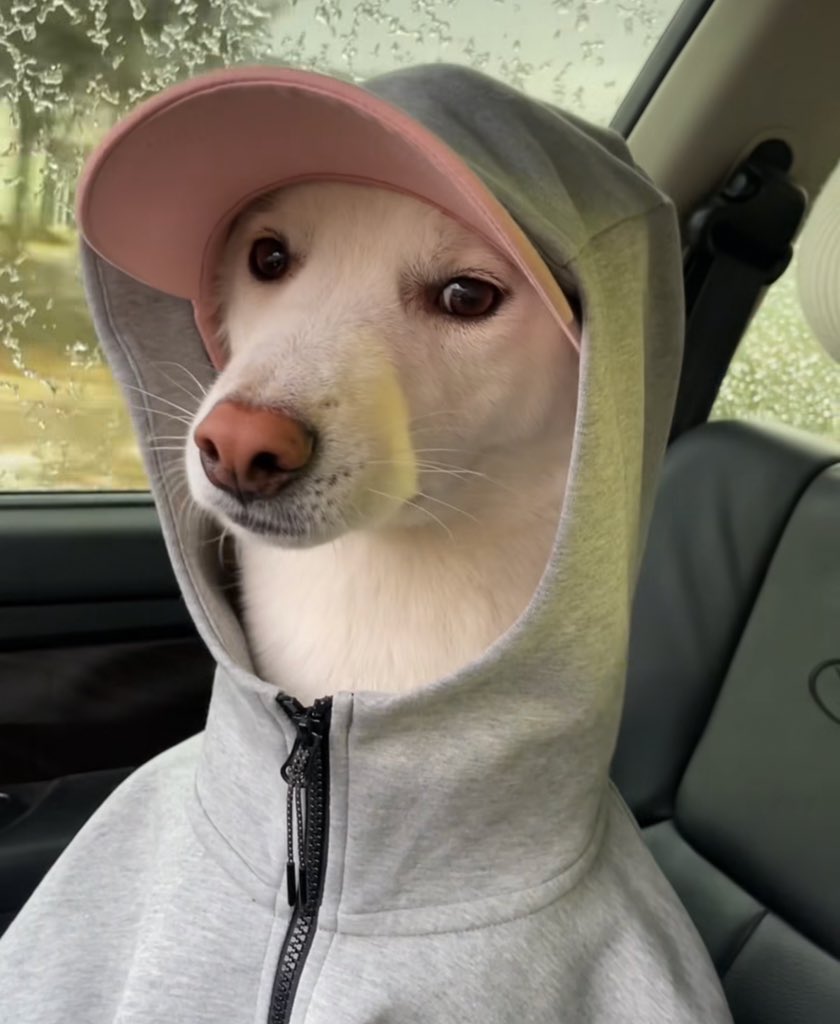 Sparrow UG🇺🇬🦅 tweet media