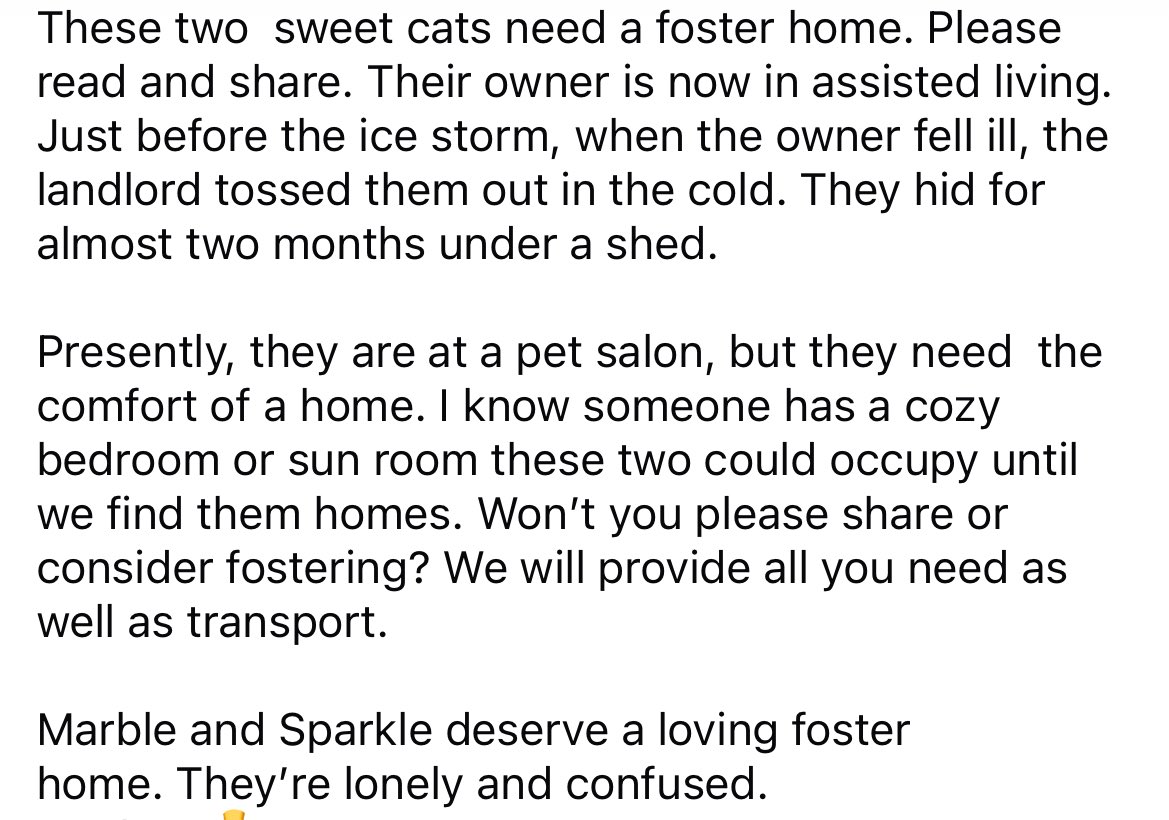 Proverbs 12:10 Animal Rescue tweet media