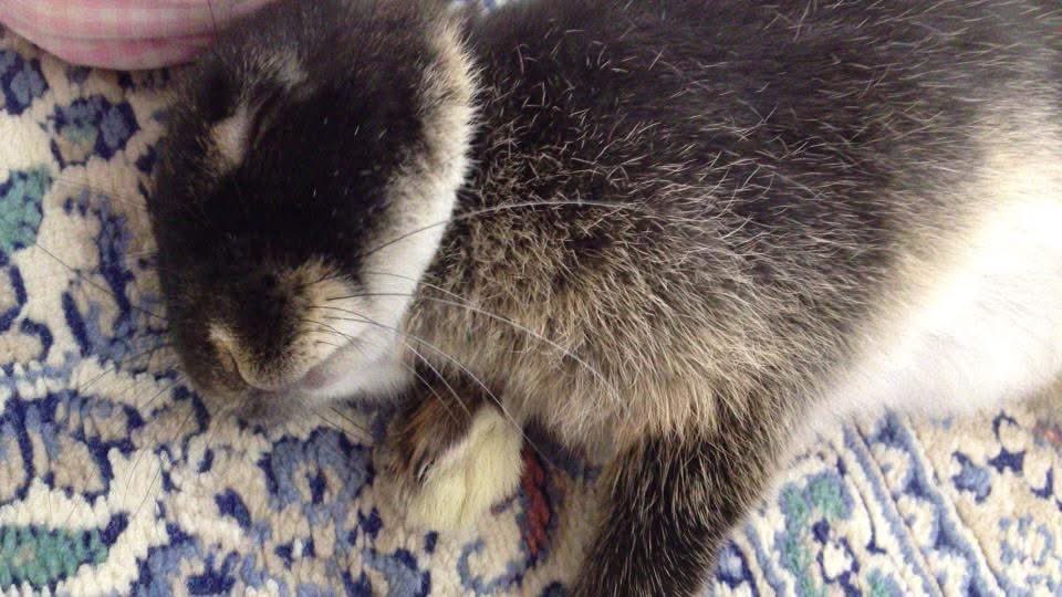 ほほえみり tweet media