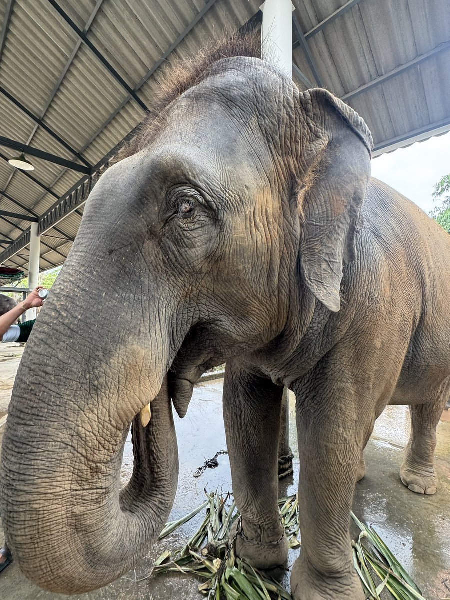 พัง น้องนุ่น tweet media