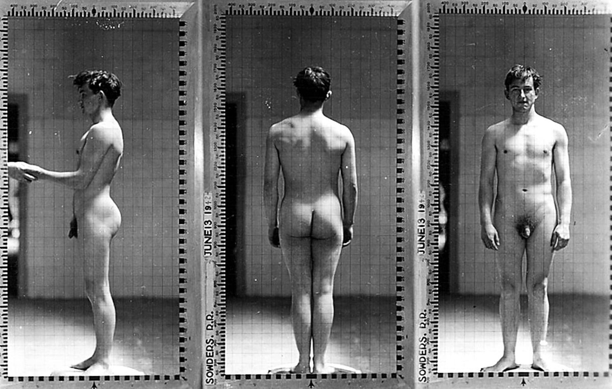 TheBestGayCulture tweet media