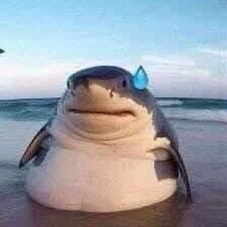 Noah_Istoria tweet media