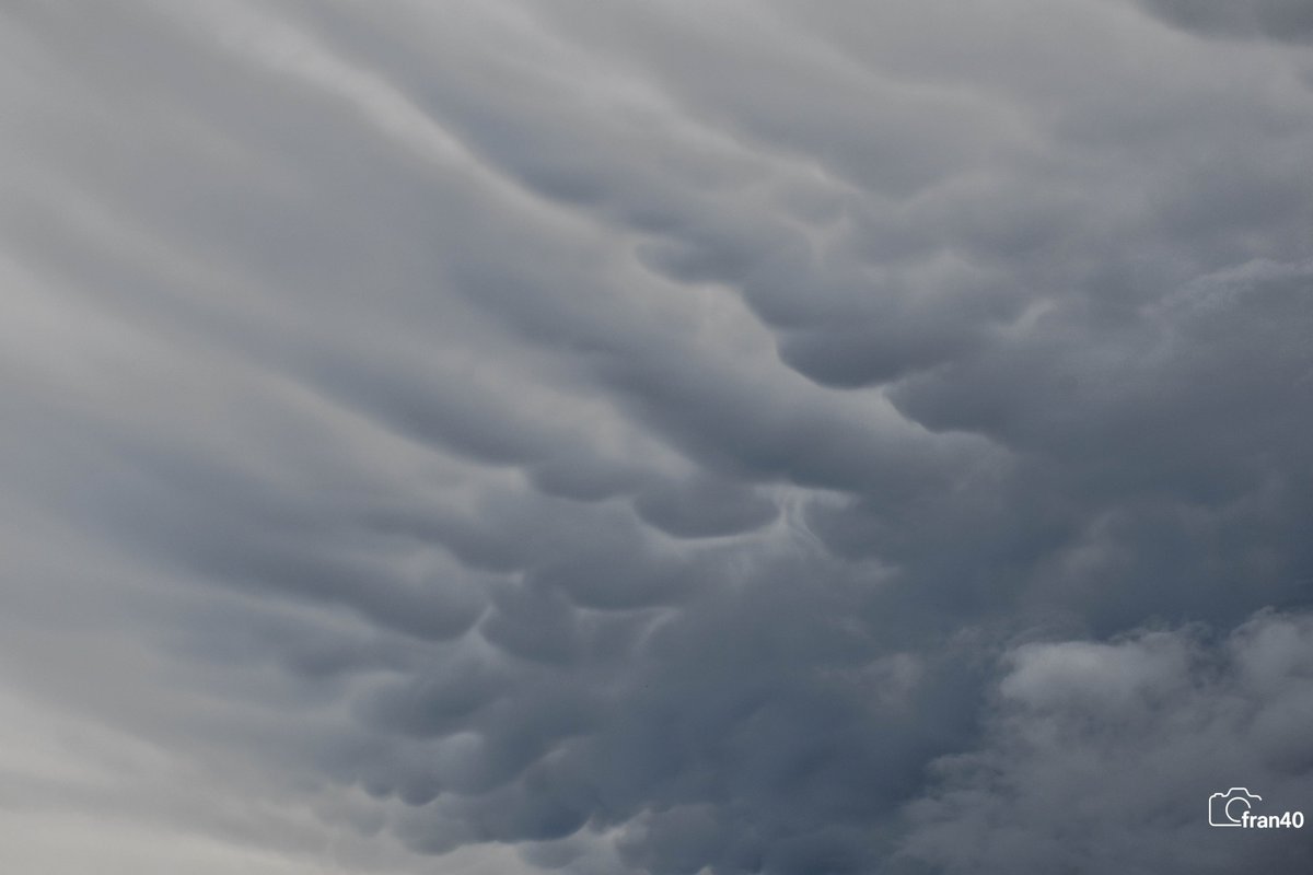 ☀⛅️️fran40 ☔️ tweet media