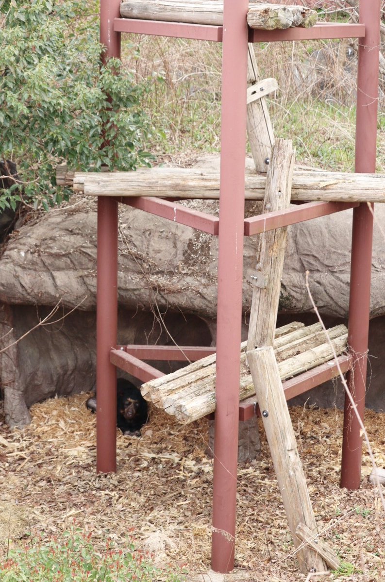 ♡ERI♡ tweet media