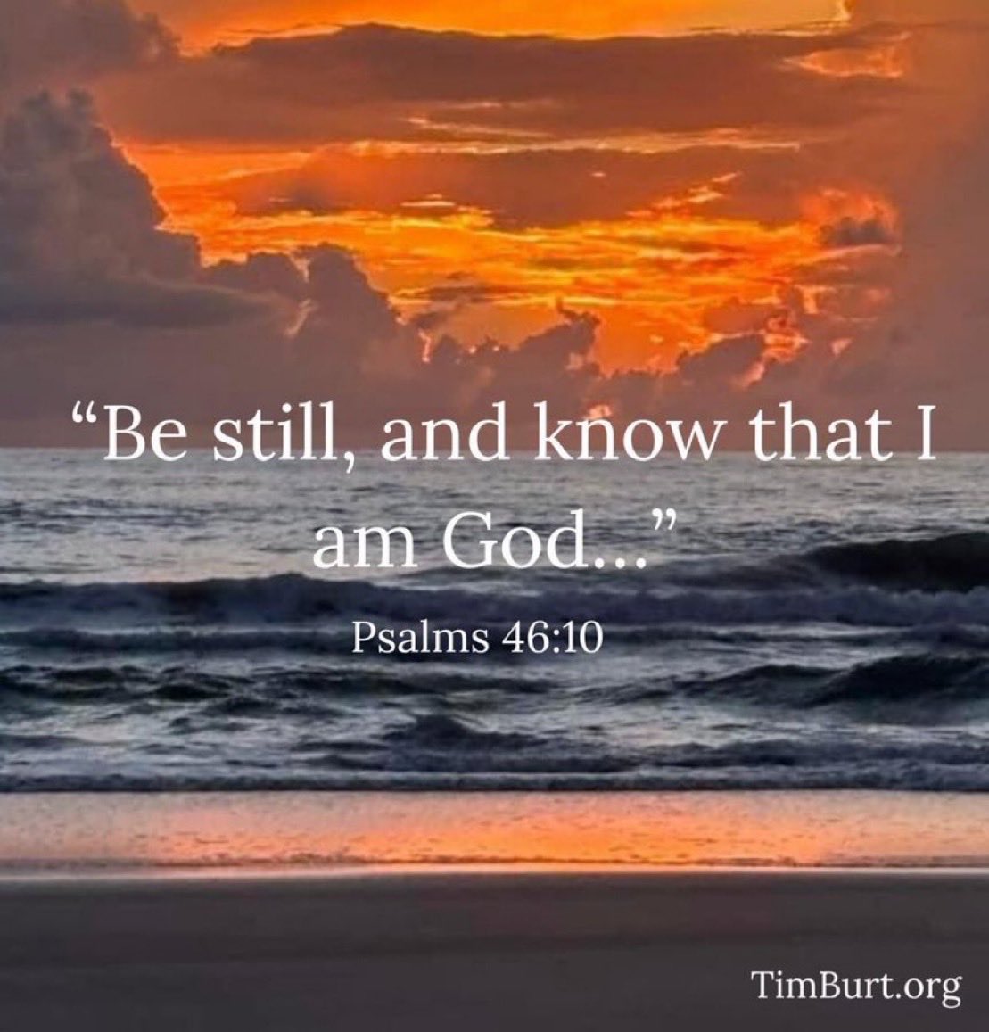 Timothy Burt tweet media