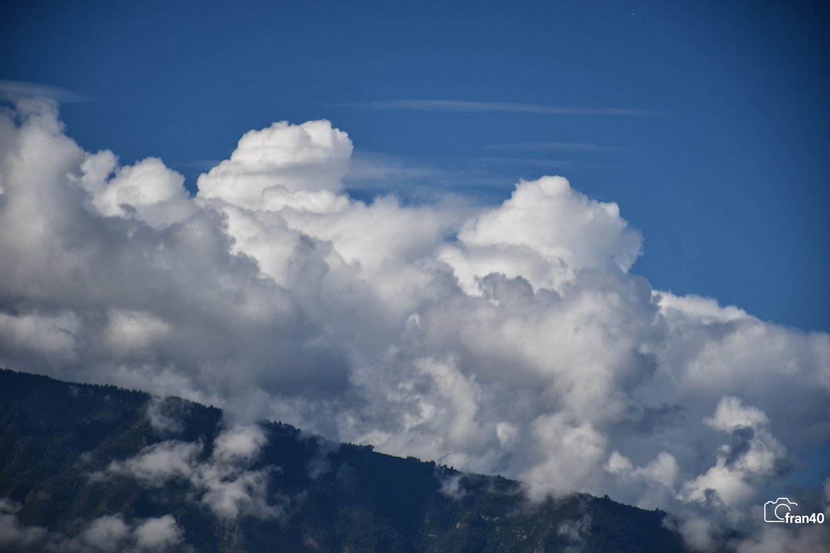 ☀⛅️️fran40 ☔️ tweet media