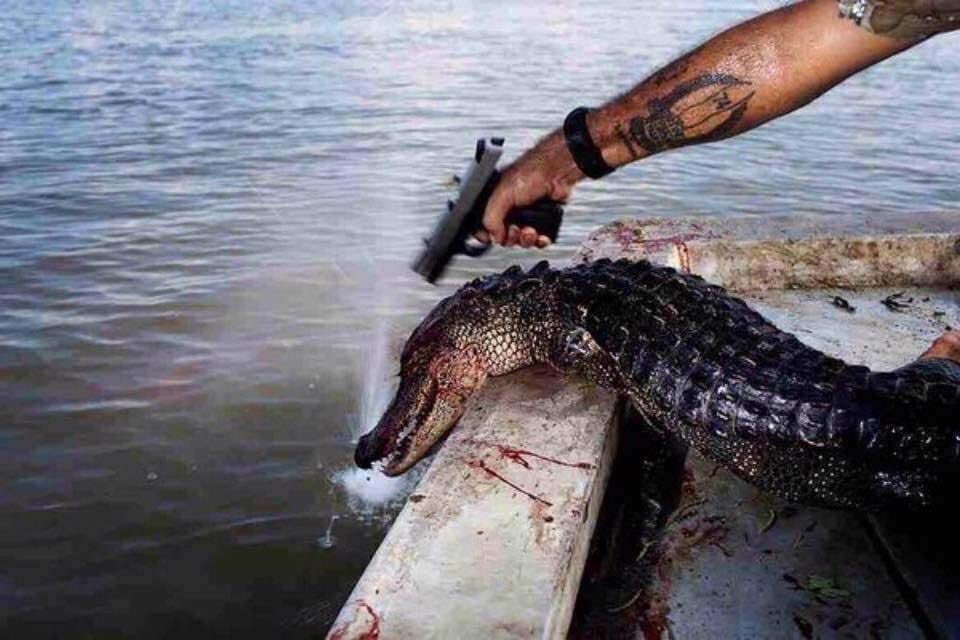 Ratmanrules's tweet photo. Good morning 🍢 https://t.co/NHhTpYODnM