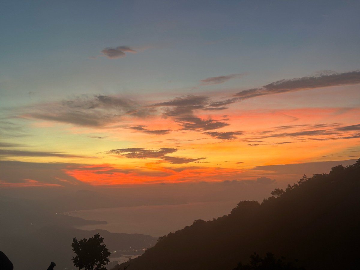 renee klock tweet media