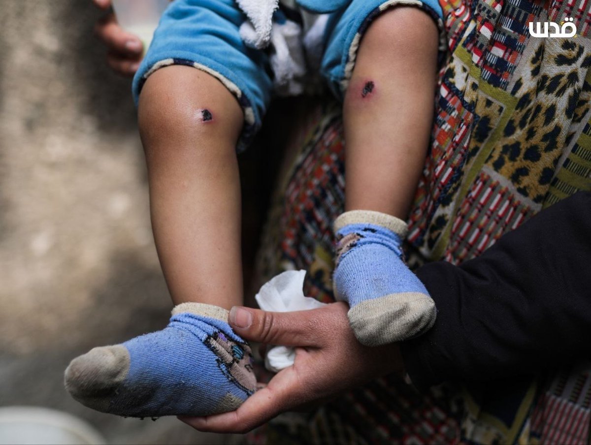 Quds News Network tweet media