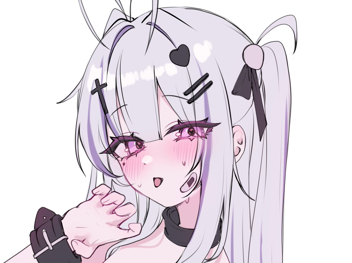 chedi | vgen open tweet media