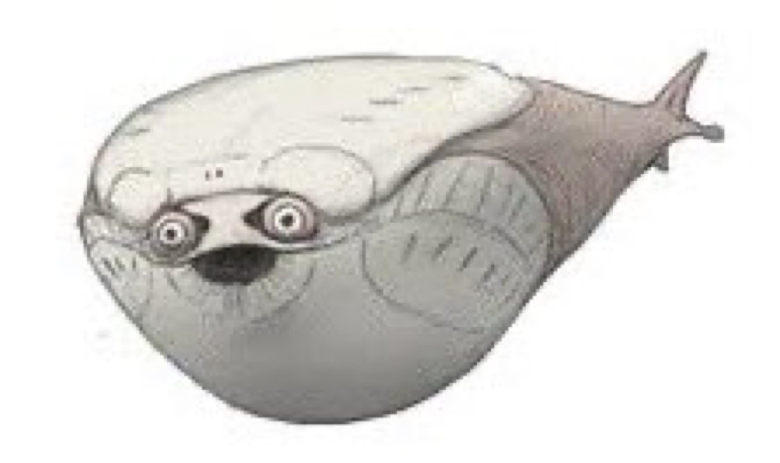 ずっと見ていたい動画 tweet media