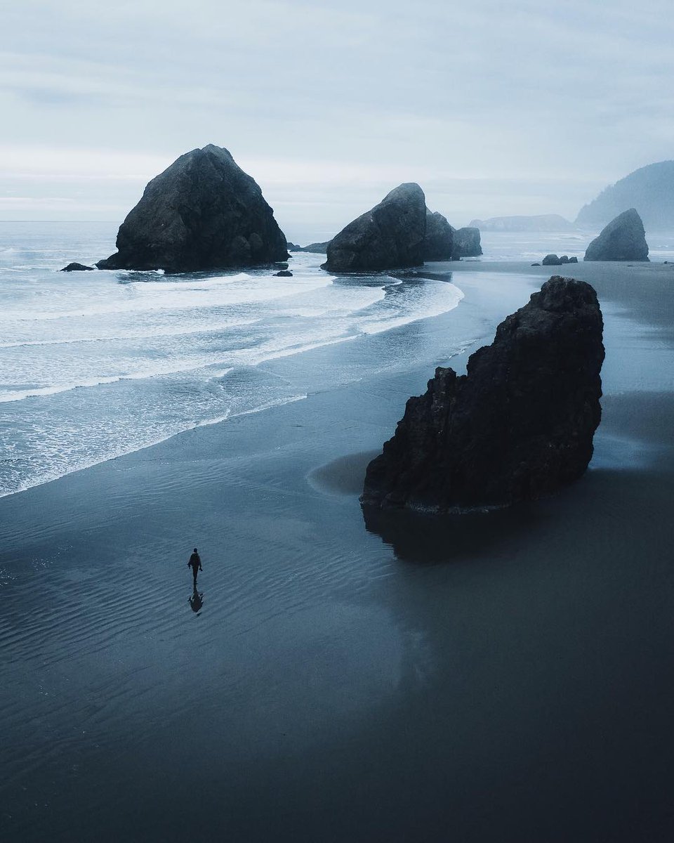 𝘄𝗮𝗻𝗱𝗲𝗿𝘁𝗿𝗮𝘃𝗲𝗹𝘀 tweet media