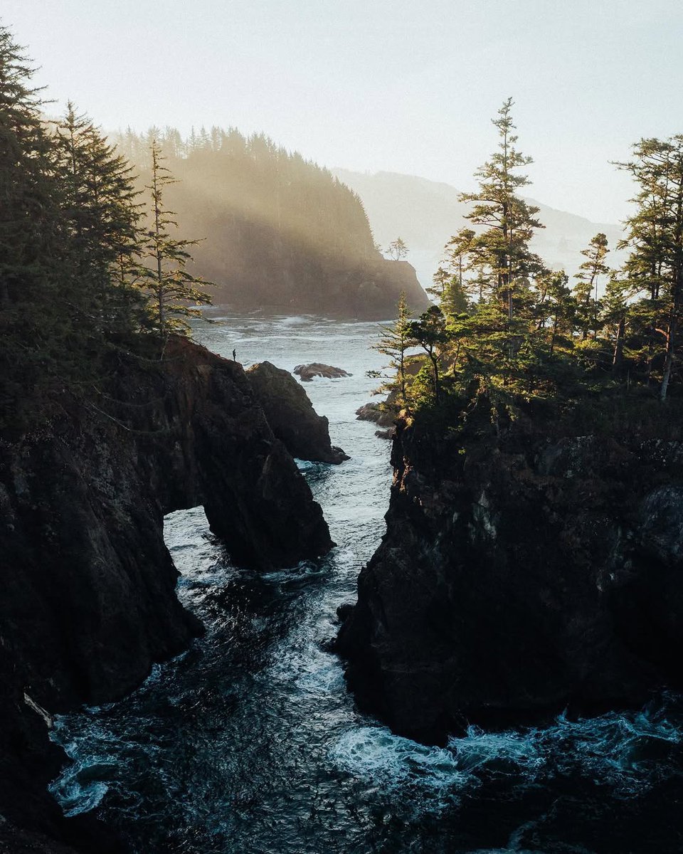 𝘄𝗮𝗻𝗱𝗲𝗿𝘁𝗿𝗮𝘃𝗲𝗹𝘀 tweet media