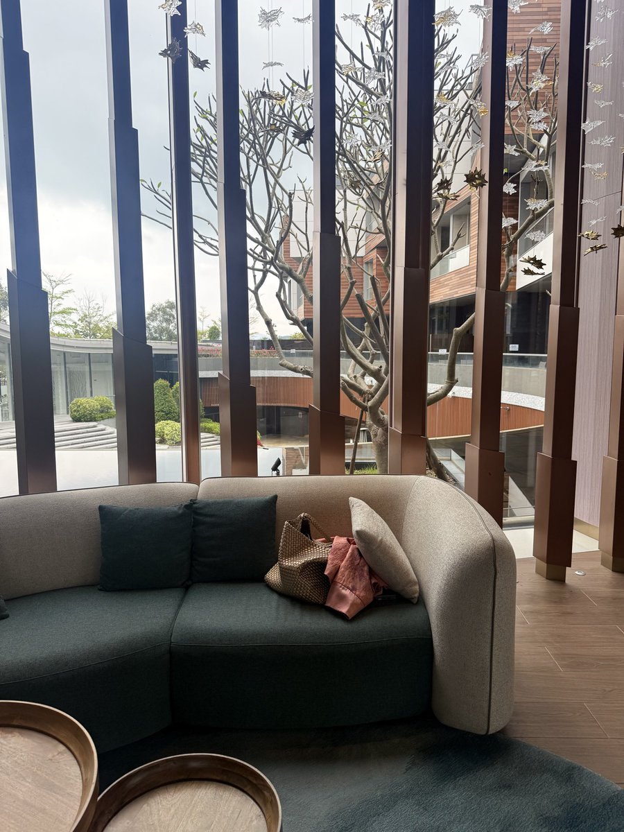 大大怪将军 tweet media