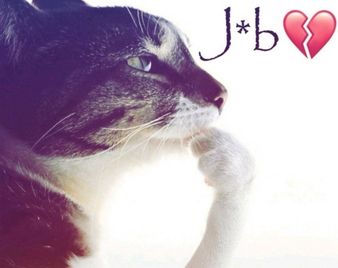 qys 7໒꒱ིྀ༝⁺ tweet media