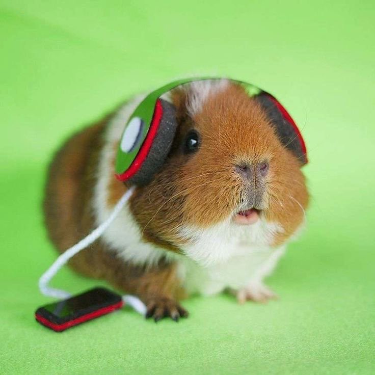 권필쌍 tweet media