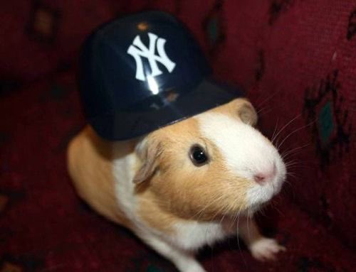 권필쌍 tweet media