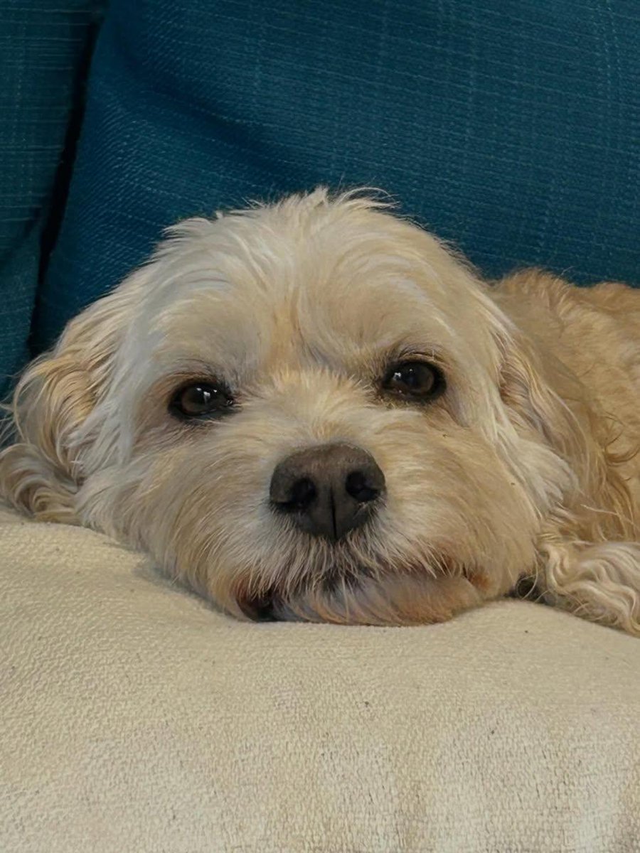 Sara Mary ⭐❤️ tweet media