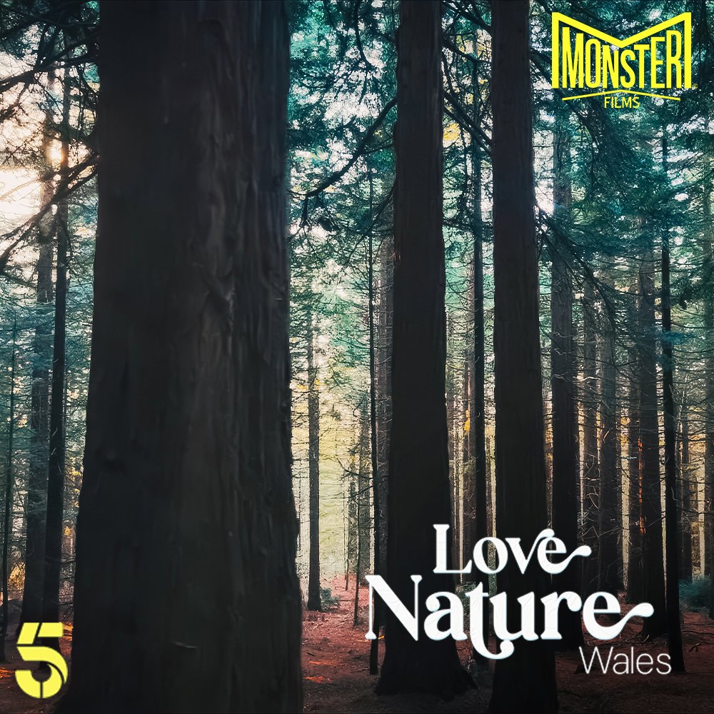 Monster Films tweet media