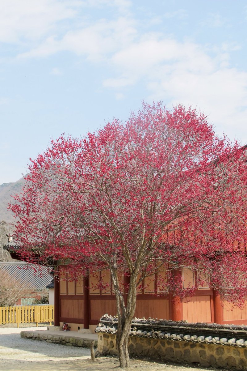 수경🎗️ tweet media