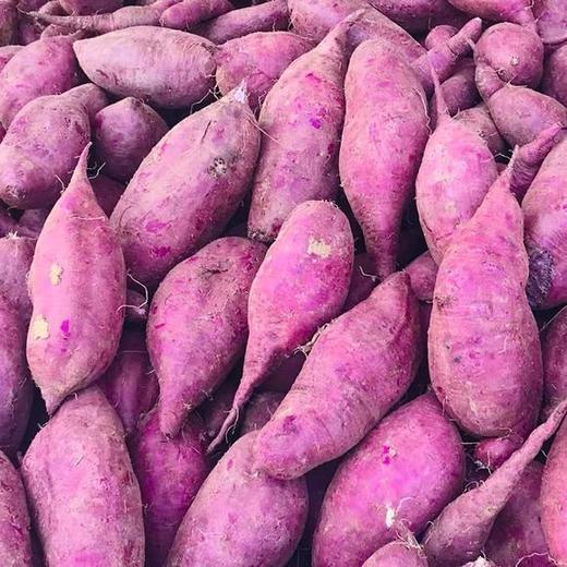 rakesh dichwalkar tweet media