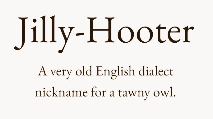 Cian McCarthy tweet media