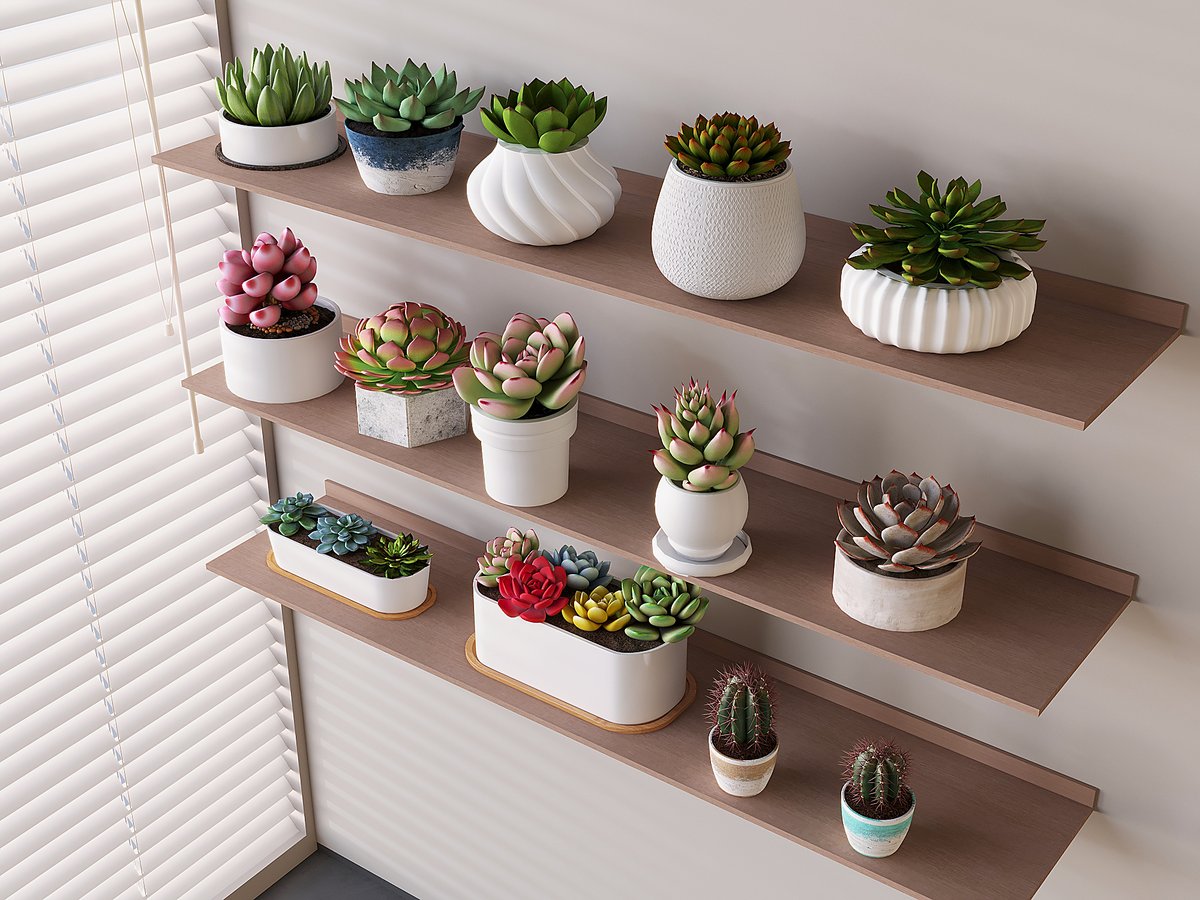 diamond nelson tweet media