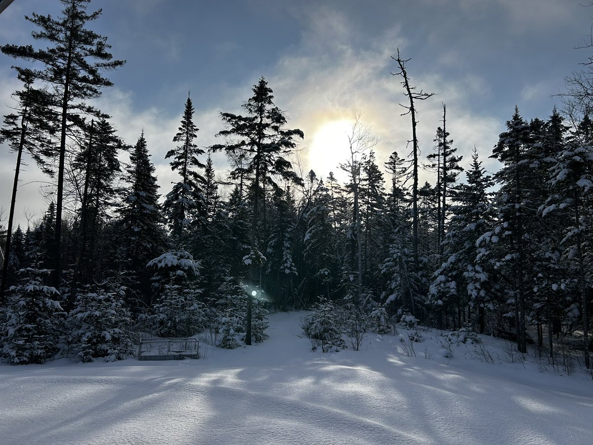 Caroline Breton tweet media