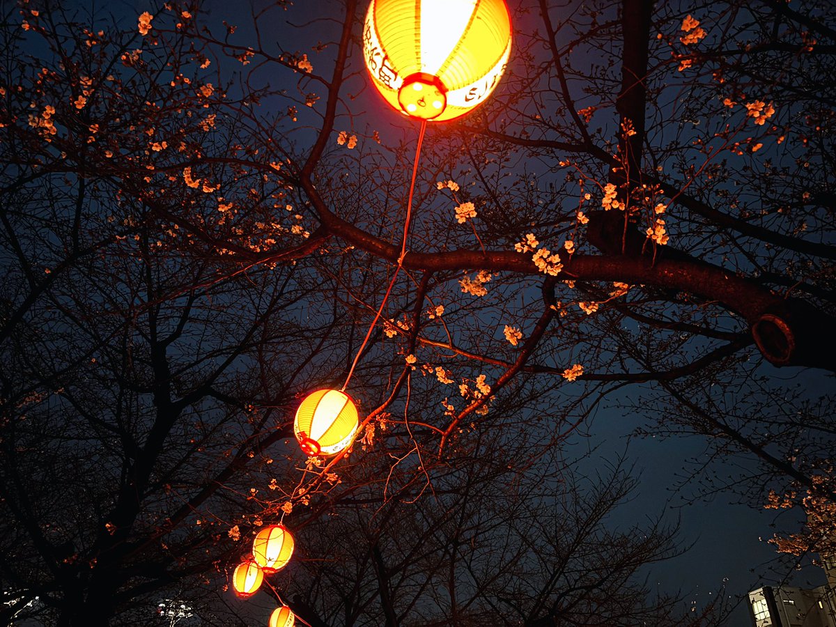 すみ𖦞 tweet media