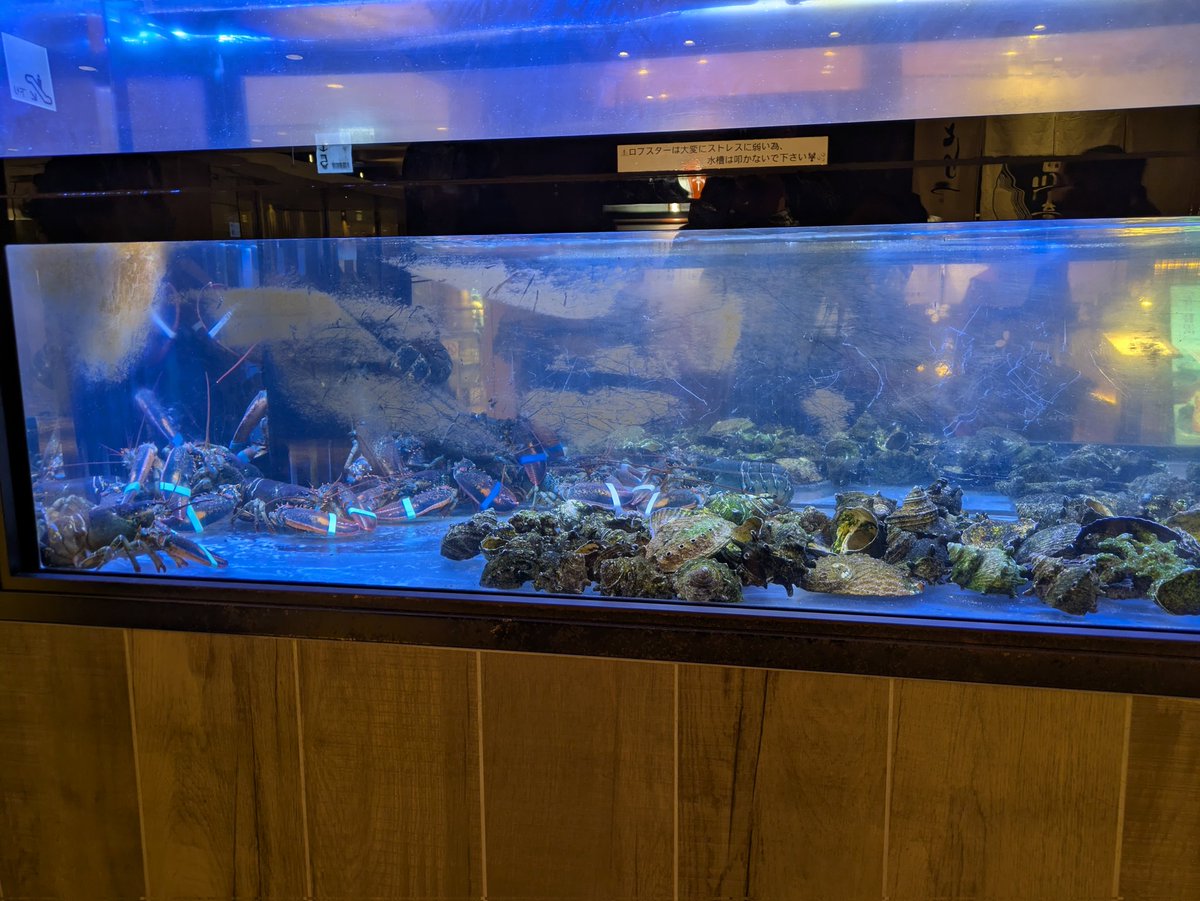 ぬう姐▼🐙🐙🐙 tweet media