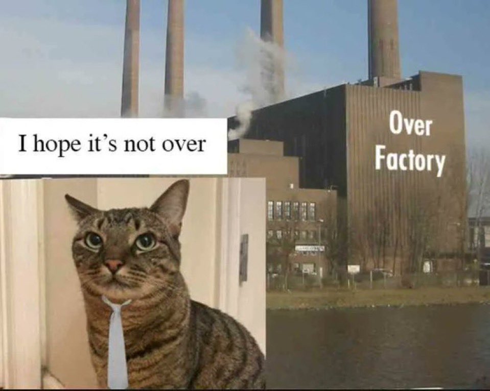 tessi ☆ tweet media