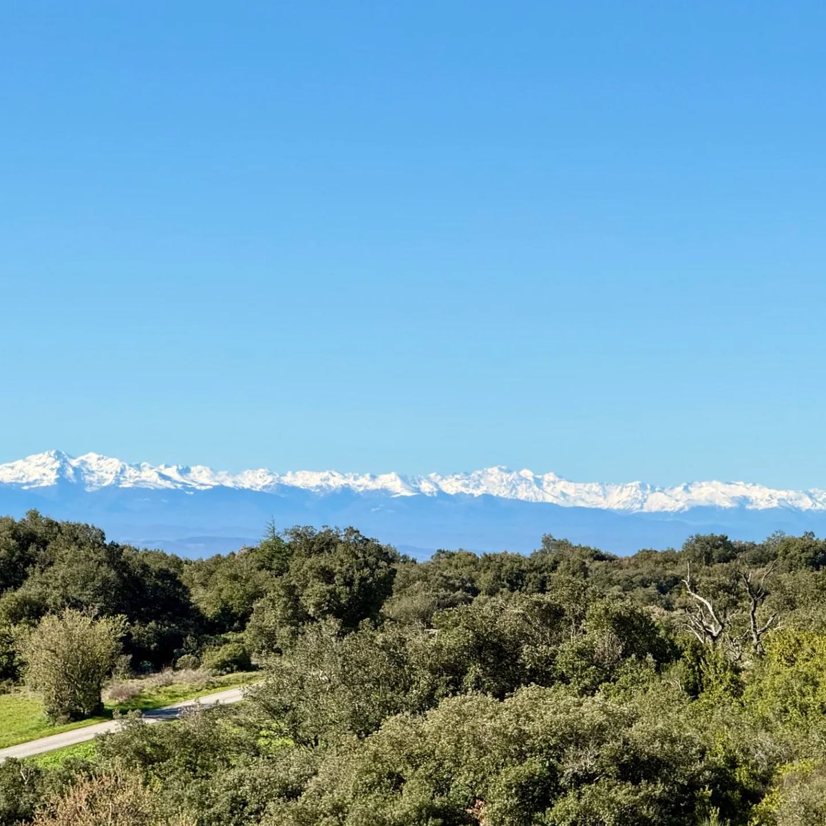 Pays de Carcassonne, terre de Séjours tweet media