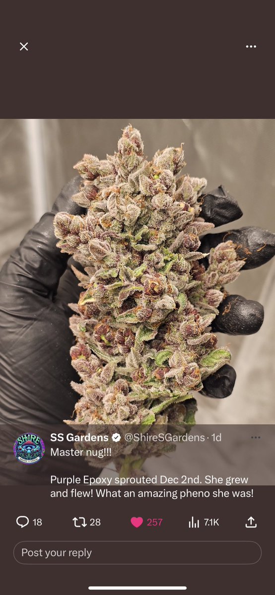 Blaise Genetics tweet media