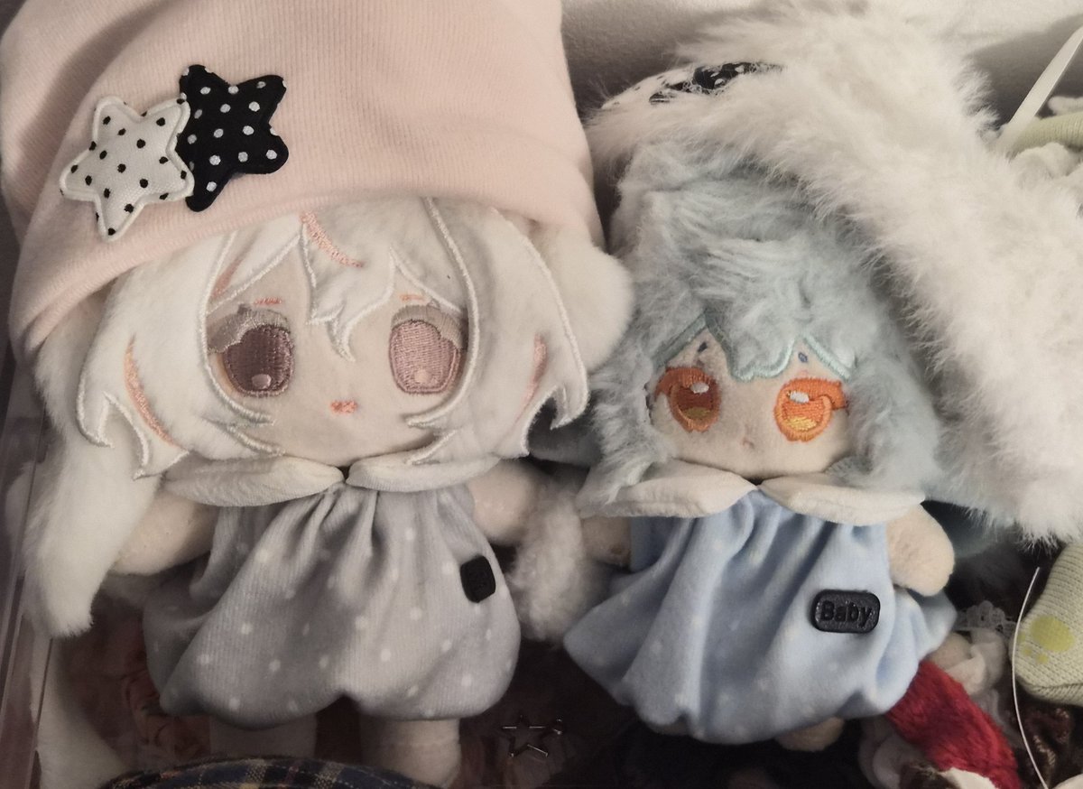 🐮코마코 tweet media