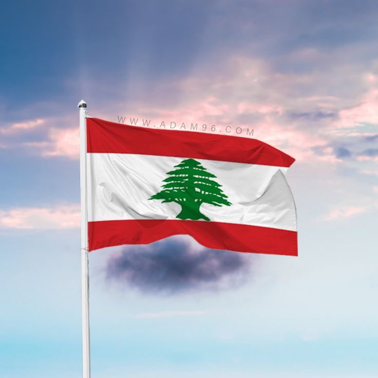 GHℹN🅰️ tweet media