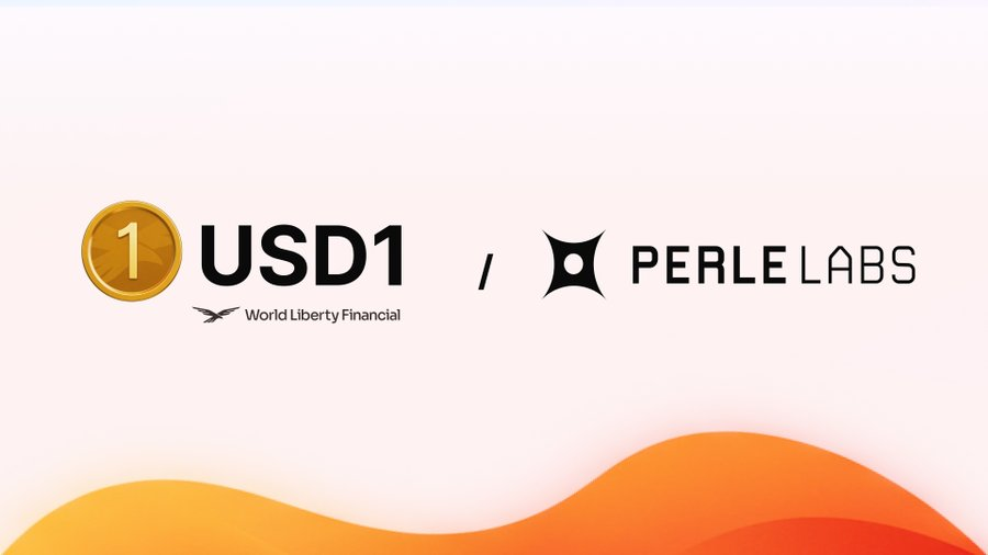 Kien Nguyen tweet media