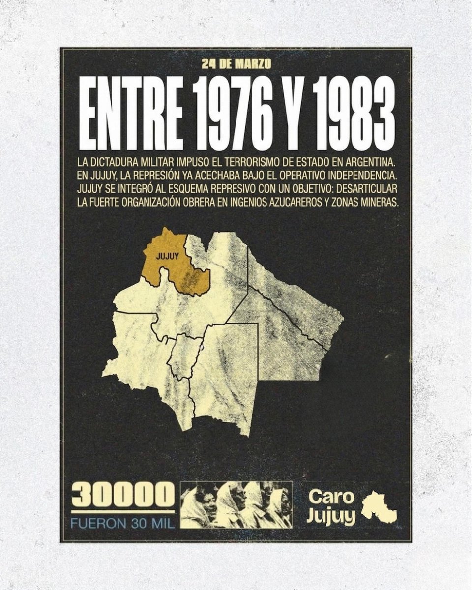 Carolina Moises tweet media