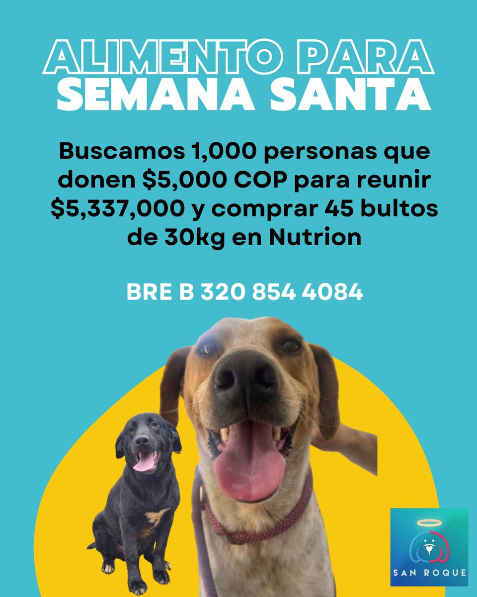 Fundación San Roque tweet media