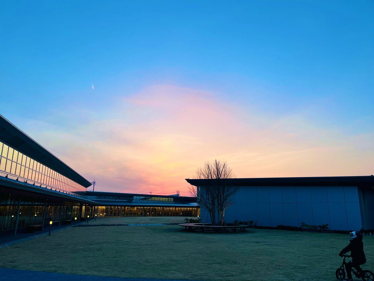 内藤聡 tweet media