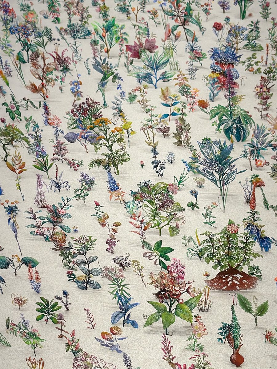 ぷらいまり。 tweet media