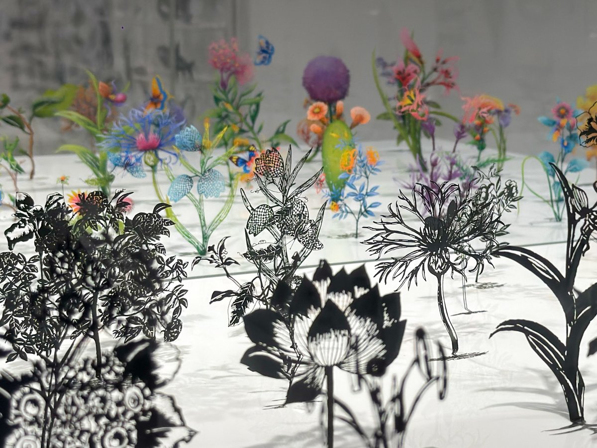 ぷらいまり。 tweet media