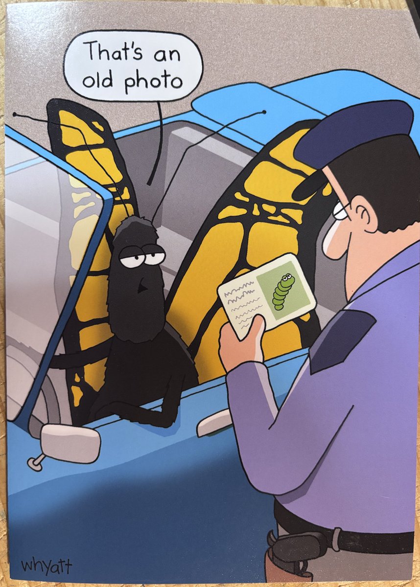 I Reid Enright tweet media