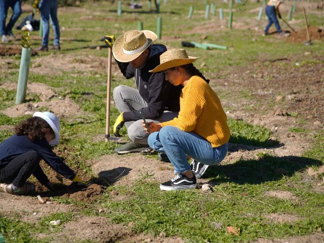 Espacio Diario tweet media